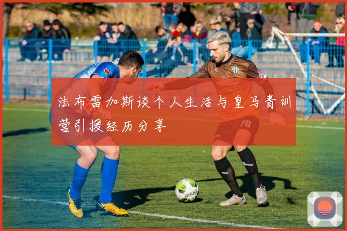 法布雷加斯谈个人生活与皇马青训营引援经历分享
