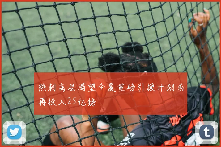 热刺高层渴望今夏重磅引援计划或再投入25亿镑